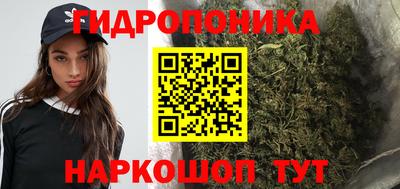 прущие грибы Гусиноозёрск