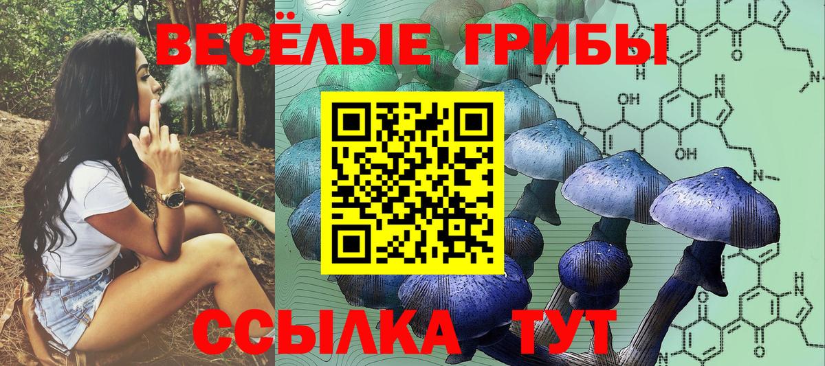 Конопля  Метамфетамин  ГАШИШ  Где купить наркотики?  Вход с VPN  Кокаин  Марихуана  Кировск  ГАШ  Меф МЯУ МЯУ  