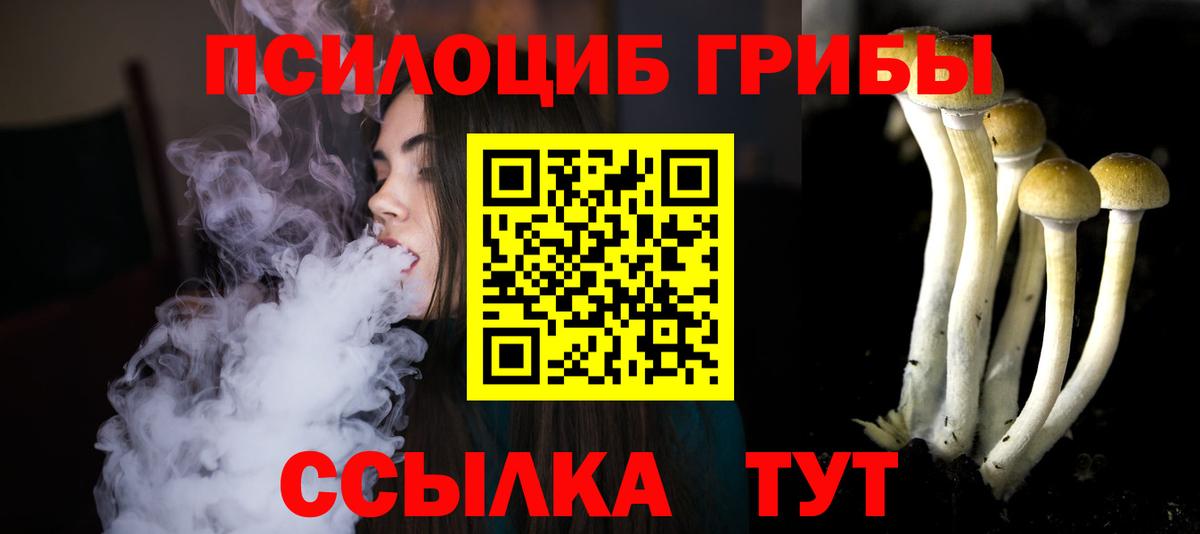 Кировск  Галлюциногенные грибы мицелий  Галлюциногенные грибы Psilocybine cubensis  Вход с VPN 